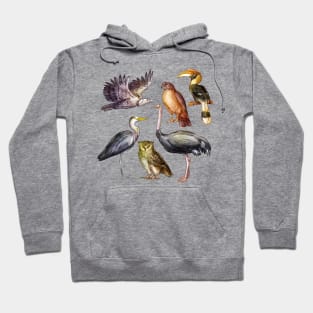 Wild Animal Illustration Hoodie